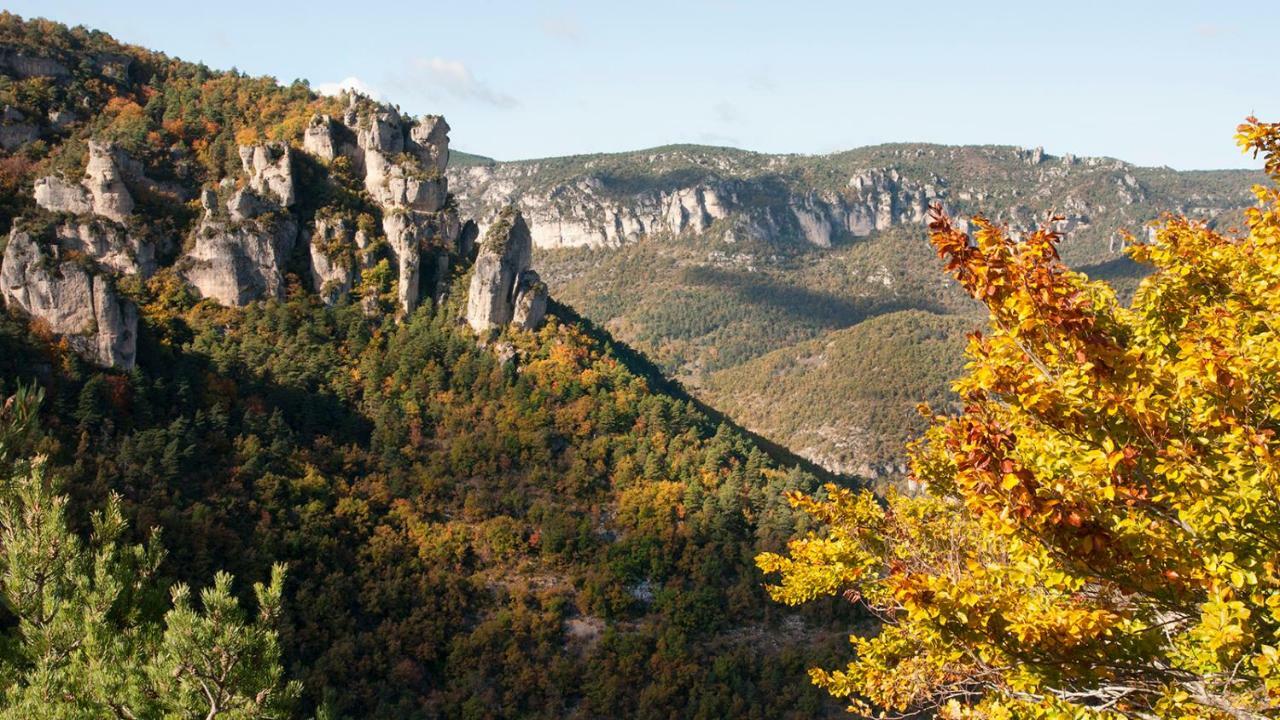 Le Colombier Saint-Veran La Roque-Sainte-Marguerite Екстер'єр фото